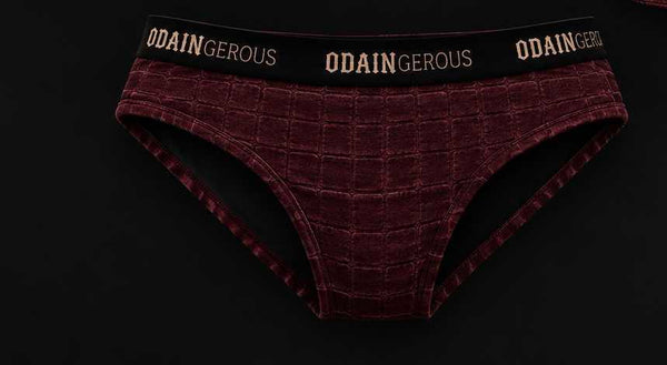 Cheeky Brief